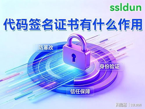 代碼簽名證書 作用、申請流程與費用及存儲服務指南